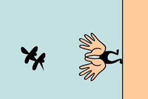 拍死可恶的蚊子