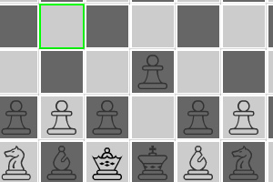 国际象棋黑白版