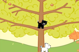 猫兄狗弟之秋日嬉戏