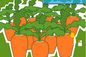 可可的疯狂农场