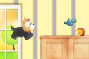 可爱宠物捡东西