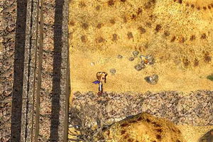 轩辕剑孤之行毕业版