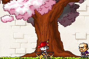 枫之谷单机版075