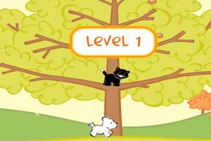 猫兄狗弟之秋日嬉戏