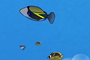 做个水中摄影师