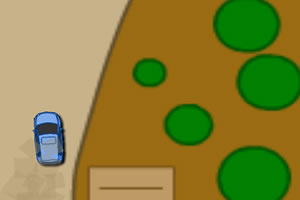 职业汽车拉力赛