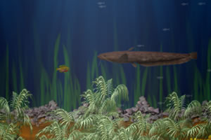 大鱼吃小鱼精致版