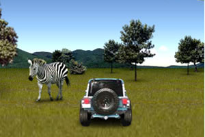 纸板野生动物园