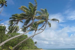 美丽海滩找水晶