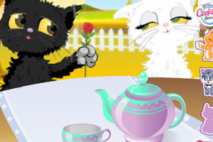 kitty猫的下午茶