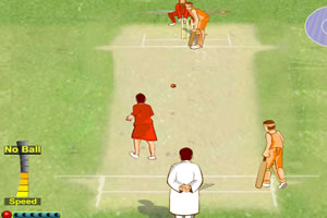 德斯黎板球大赛