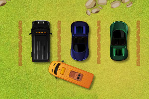 度假圣地抢车位