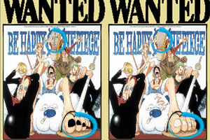 找你妹海贼王版