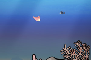 精装大鱼吃小鱼