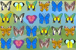 彩蝶彩蝶对对碰