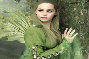 隐藏的动物童话