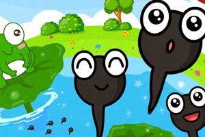 小蝌蚪找妈妈的故事