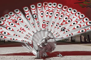 功夫熊猫2查找字母