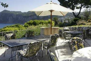 莫特的异国之旅8