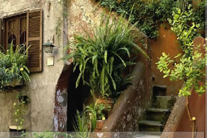 莫特的异国之旅5