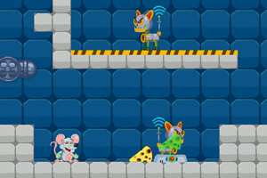 奶酪实验室大作战