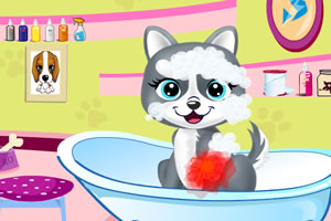 宠物美容院2中文版