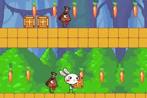 彩虹兔之箱子冒险