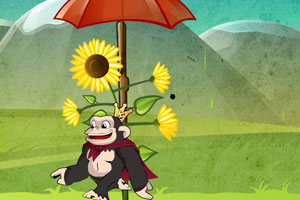 酷巴夫妻保护植物