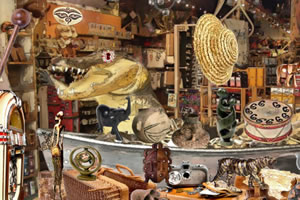 非洲之旅找东西