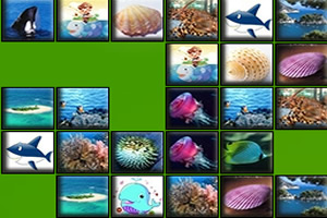 奇美概念连连看