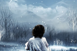 隐藏的星之雪域