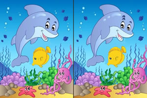 海底生物的差异