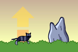 跳跃的猫
