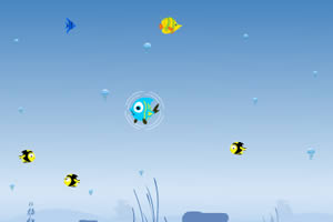 蓝色鱼的猎食之旅