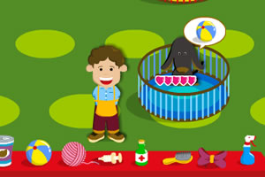 照顾可爱小宠物