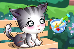 玩具小医生关爱小猫