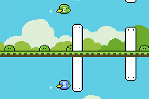 飞扬的三只小鸟