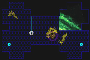 可怕的圈地无敌版