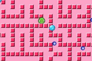 愤怒小猪闯迷宫