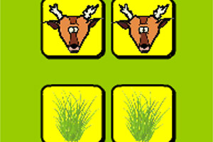 国家公园之斗兽棋