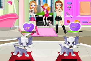 经营宠物美容店