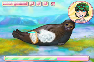 照顾可爱小海豹