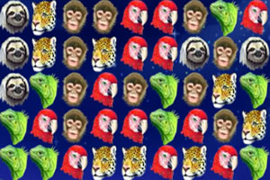 林中动物消消看