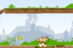 喂小动物吃东西修改版