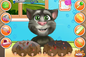 治疗汤姆猫的爪子