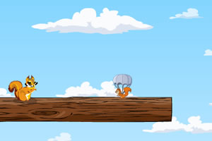 从天而降的松鼠