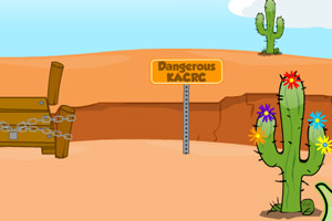 约书亚树公园探秘