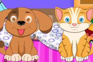 照顾你可爱的宠物