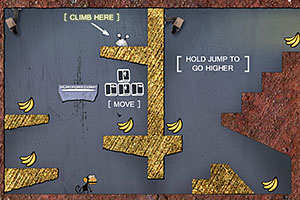 扭曲现实的猴子