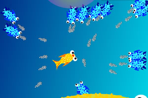 鱼儿自传之自鱼自乐